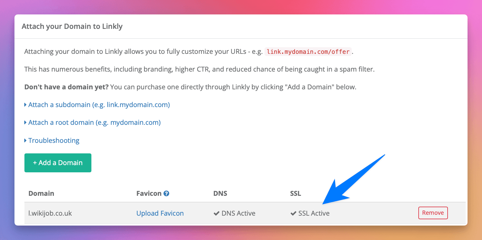 Wait for DNS and SSL activation