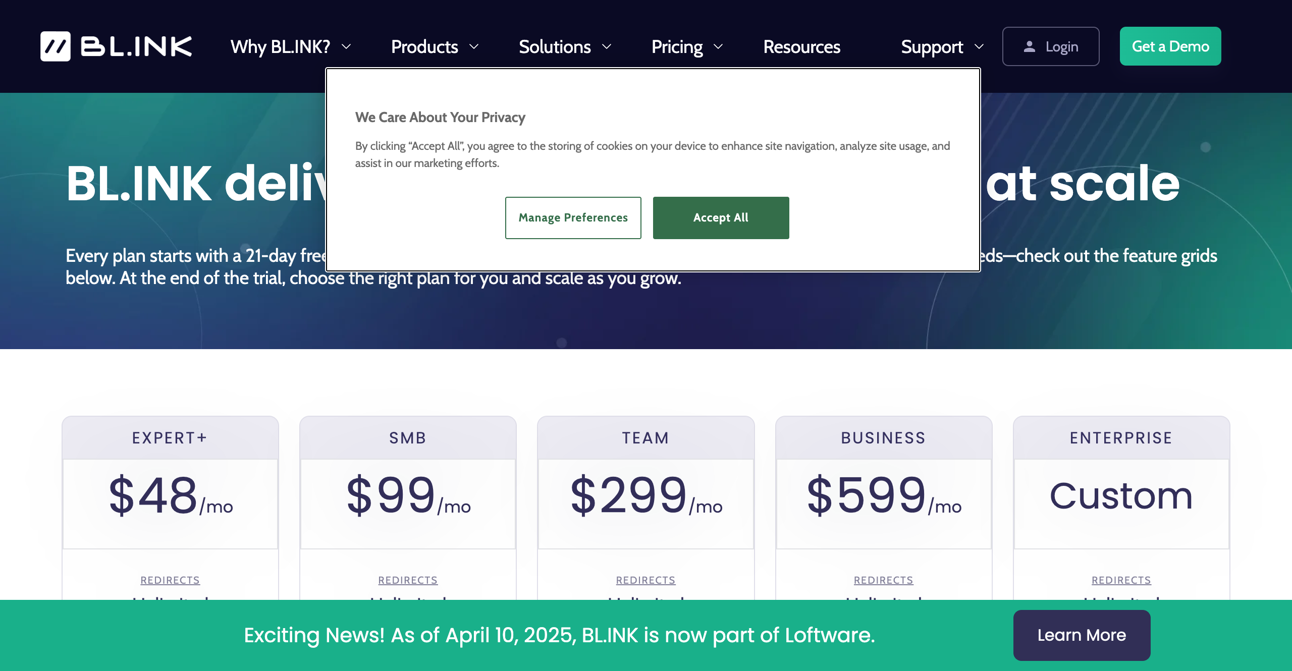 BL.INK pricing page screenshot